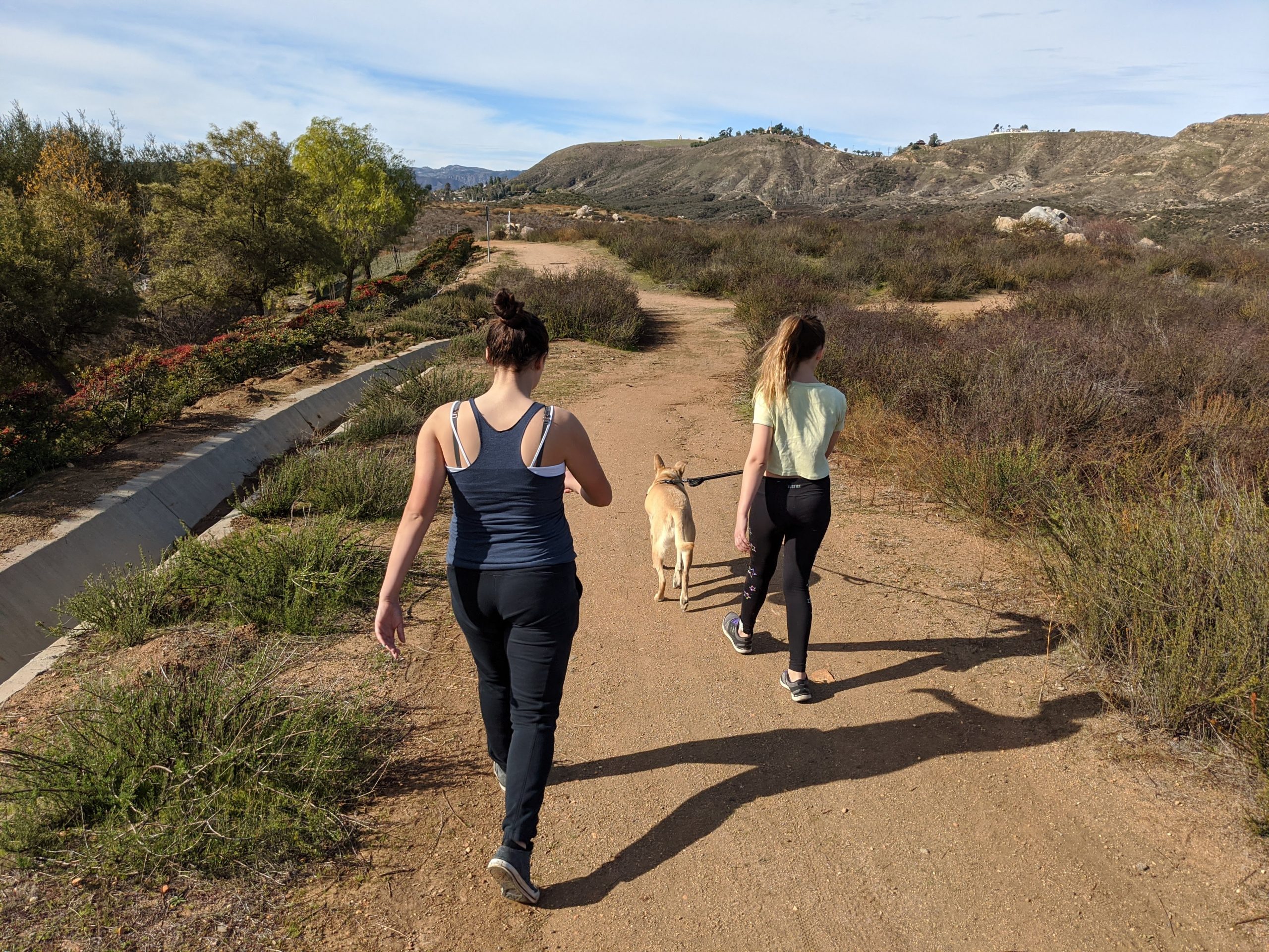 The Longest Hike